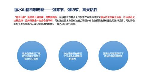 歐賽斯深度解析 網絡技術如何驅動金華區域農產品發展
